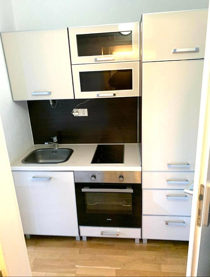 Beautiful Premium Apartment, Near University , Wifi , Free Parking Regensburg Exteriör bild