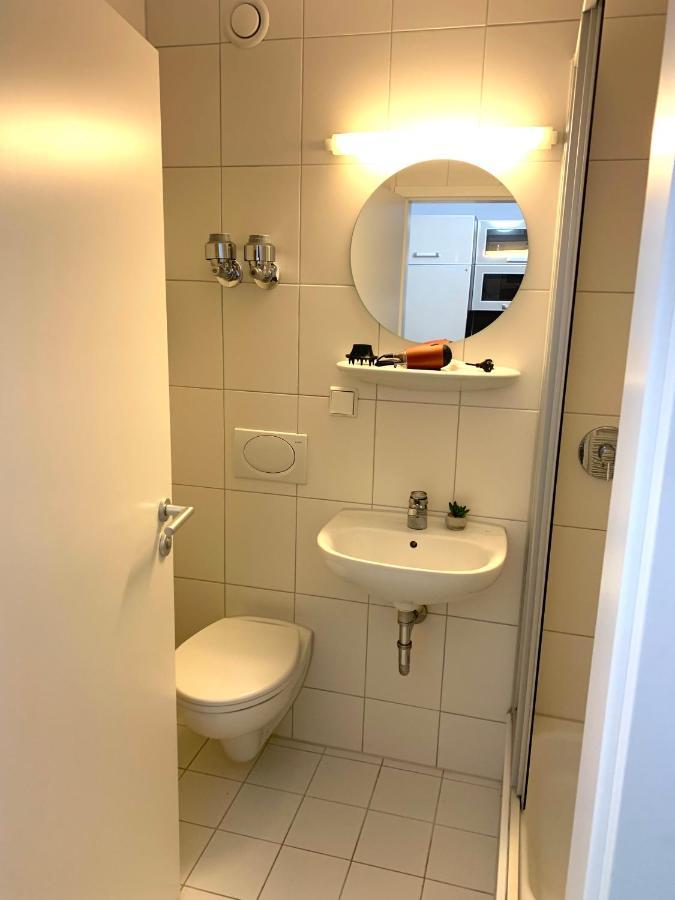 Beautiful Premium Apartment, Near University , Wifi , Free Parking Regensburg Exteriör bild