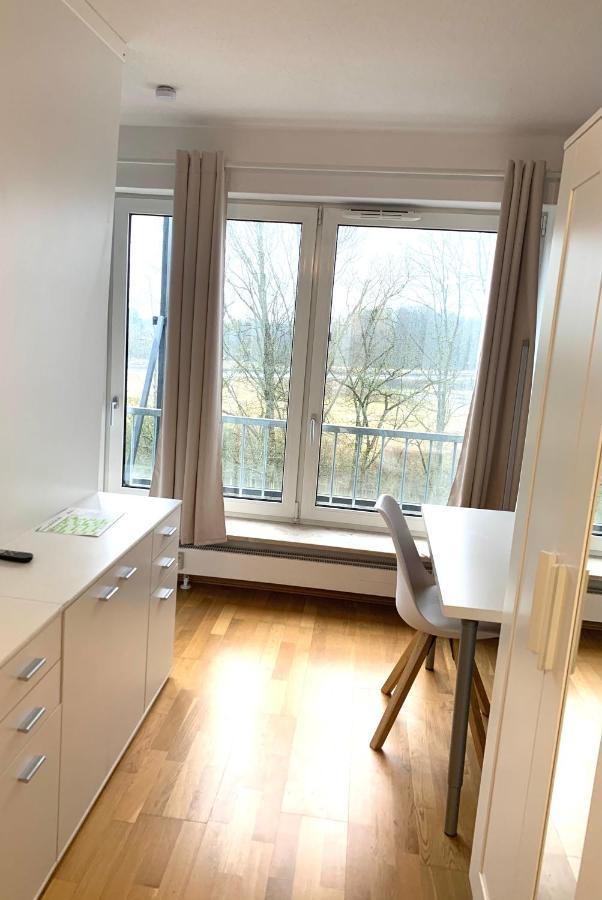 Beautiful Premium Apartment, Near University , Wifi , Free Parking Regensburg Exteriör bild